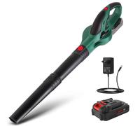 Bladblazer sans fil Accu - 20V 2,0 Ah - Pour l'entretien du jardin
