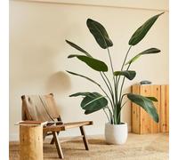 Blaine - Plante Artificielle Strelitzia 120 cm | Fausse Plante avec Aspect Hyperréaliste pour la Décoration de Chambre D'intérieur et de Bureau Sans Entretien