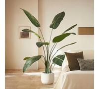 BLAINE | Strelitzia 160cm | Plantes Artificielles Décoratives | Grande Plante Artificielle | Plantes Artificielles pour Intérieur/Extérieur | Plante Artificielle Réaliste Décorative
