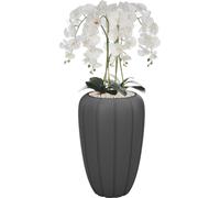 Blanc Orchidée artificielle Bouquet de fleurs en cascade en pot anthracite, env. 112 cm de haut, fleurs caoutchoutées, 5 pousses Décoration bureau à domicile