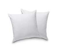 Blanrêve - Lot de 2 Oreillers Confort - Fibres synthétiques - Blanc - 60x60 cm