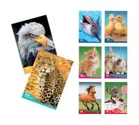 Blasetti - 6 Maxi cahiers éducatifs fantaisie en une couleur. Papier de 100 g, 72 faces + pointe, Jolly Page, idéal pour la dysgraphie, lot contenant des couleurs assorties - Peintures (10 M)