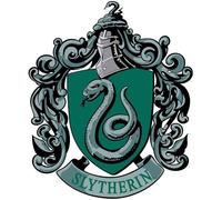 Blason en carton - Harry Potter - Serpentard - 61x51 cm - Décoration murale - Mixte