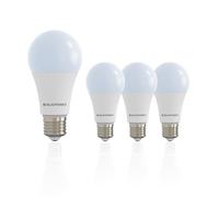 Blaupunkt Lampe LED E27 A65 18W Blanc Froid Remplace 150-180W, Lot de 4