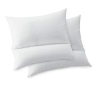 Bleu Calin Lot de 2 Oreillers Modulables - 3 positions - Confort Ergonomique, Oreiller de Lecture - Enveloppe Coton - 65 x 65 cm