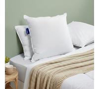 Bleu Calin Lot de 2 Oreillers Sensation Duvet - Confort Souple - Gonflant Extra - 60x60cm