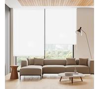 Blindecor Ara | Store enrouleur translucide uni - Blanc cassé, 100 x 250 cm (largeur x hauteur) | Taille du tissu 97 x 245 cm | Stores pour fenêtres