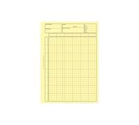 Bloc audit contrôle interne elve 80 pages perforées format a4 encollage en tête adapté écriture crayon coloris jaune