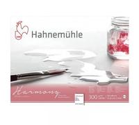Bloc Aquarelle Harmony 300g/M2 12feuilles Grain Fin 30x40cm - Hahnemühle