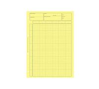 Bloc audit contrôle interne elve 80 pages perforées format a4 encollage en tête adapté écriture crayon coloris jaune