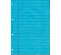 Bloc Audit perforé Travers marge A4 80 pages BLEU.