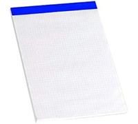 Bloc De Notes A5 - Enri - 100104572 - 80 Feuilles - Quadrillage 4x4 - Sans Couvercle
