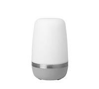 blomus Lampe LED Spirit L 25 cm Platinum gray (gris)
