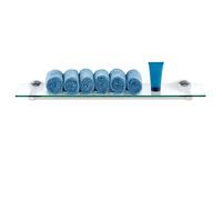 BLOMUS, étagère de salle de bain en acier inoxydable, modèle AREO, avec étagère en verre, finition polie, 76 cm, référence 68933