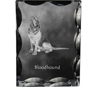 Bloodhound - cristal avec photo de chien, statuette en verre avec photo, cadre unique avec photo de la marque Art-Dog