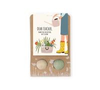 Blossombs Seed Bombs - Petit cadeau pour les enseignants - Fleurs (2 pcs)