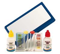 BLUE POINT COMPANY 8010100