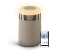 BLUEAIR Mini, purificateur d'air compact pour la chambre, équipé du filtre HEPASilent™, modèle [mentionner le modèle si disponible]