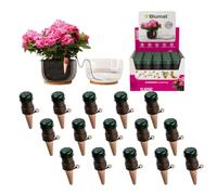 Blumat Classic (Jr.) Lot de 15 piquets d'arrosage Automatique pour Plantes