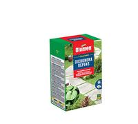 Blumen Graines de Dichondra Repens 200 g