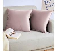 Blumtal Housse de Coussin canape - Lot de 2 - Housse Coussin 30x50 - Housses de Coussins décoratifs Velours - Housse de Coussin 30x50 - Housses de Coussins canapé certifiées Oeko-Tex - en sureau