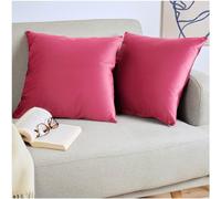Blumtal Housse de Coussin canape - Lot de 2 - Housse Coussin 40x60 - Housses de Coussins décoratifs Velours - Housse de Coussin 40x60 - Housses de Coussins canapé certifiées Oeko-Tex - en Framboise