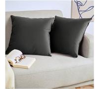 Blumtal Housse de Coussin canape - Lot de 2 - Housse Coussin 45x45 - Housses de Coussins décoratifs Velours - Housse de Coussin 45x45 - Housses de Coussins canapé certifiées Oeko-Tex - en Anthracite