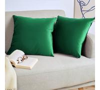 Blumtal Housse de Coussin canape - Lot de 2 - Housse Coussin 60x60 - Housses de Coussins décoratifs Velours - Housse de Coussin 60x60 - Housses de Coussins canapé certifiées Oeko-Tex - Vert botanique