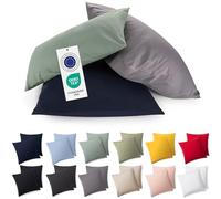 Blumtal Premium Taie Oreiller 60x60 Coton (Lot de 2) - Certifié Oeko-Tex, 100% Jersey Coton - Taie d'oreiller en Jersey, Ultra-Doux Housse de Coussin - Gris Clair de Lune