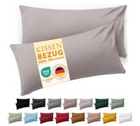 Blumtal Taie Oreiller 40x60 Lot de 2 - Housse de Coussin Microfibre - Taies d'oreillers avec Fermeture éclair, certifiée Oeko-Tex, Extra Douce et Lavable - Gris Clair de Lune