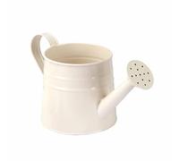 BLWOTMOR Arrosoir Décoratif, Mini Pot de Fleurs en Fer Forgé, Baril à Plantes, Rangement de Bureau, Style Vintage, Plusieurs Modèles, Convient à Tous Les Espac, Blanc