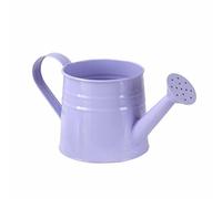 BLWOTMOR Arrosoir Décoratif, Mini Pot de Fleurs en Fer Forgé, Baril à Plantes, Rangement de Bureau, Style Vintage, Plusieurs Modèles, Convient à Tous Les Espac, Violet