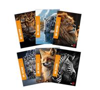 BM BeMore WILD Maxi Cahier A4 - Rigatura Q, carreaux 5 mm avec marges pour élémentaires, moyennes et supérieures - Lot de 10 pièces avec couvertures fantaisie animaux - 72 pages, papier de 100g