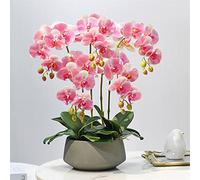 BNXDCVWS Fleurs artificielles, Décor Fleurs Artificielles avec Vase Fleur Artificielle Orchidée(Pink)