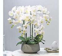 BNXDCVWS Fleurs artificielles, Décor Fleurs Artificielles avec Vase Fleur Artificielle Orchidée(White)