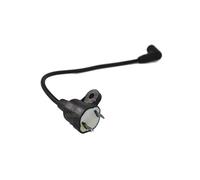Bobine d'allumage compatible avec groupe électrogène Matrix D-PG 1000, Profitexx SE 950, Scheppach SG950