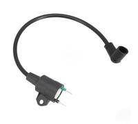Bobine d'allumage haute tension pour générateur 145F 650 ET950, 2 pour moteur pour pièce de rechange, puissance de sortie de 950 W à 1000 W, pour module de rechange noir