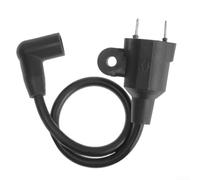 Bobine d'allumage pour générateur Pulsar PG1202S 72CC - Pièce de rechange | aggregateur à essence en watts compatible avec le modèle PG1202S-IG, matériau robuste pour une performance durable en