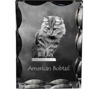 Bobtail américain - cristal avec image de chat, statuette en verre avec image, cadre exceptionnel avec image de la marque Art-Dog