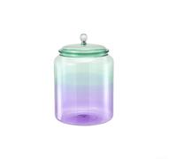 Bocal de rangement en verre avec couvercle en ABS sécurisé pour fermeture hermétique, récipient de grande capacité pour thé, bonbons, produits secs, garde-manger, design transparent, 22 x 3 l