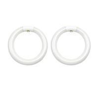 Boddceto 2 Ampoules Fluorescentes Circulaires FC8T9/CW, Ampoules Circulaires T9 22 W de 8 Pouces de Remplacement pour Luminaire de Plafond Circulaire
