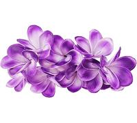 Boerni Bouquet de 10 Fleurs de Plumeria artificielles en PU, Vrai Toucher réaliste Faux Bouquet de Fleurs Hawaii Lei Frangipanier pour Mariage été Aloha Party décoration de la Maison (Violet + Blanc)