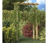 Bois Imprégné Arche pour Roses Support Plantes Grimpantes Arceau Voute vidaXL