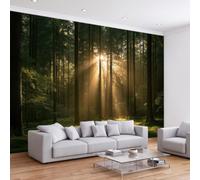 Bois Mousse Lumière Du Soleil Papier Peint Panoramique Décoration Murale | Nature Forêt Contre-Jour Papier Peint Intissé Murale Moderne Design pour Chambre D'enfant Salon 400 x 280 cm