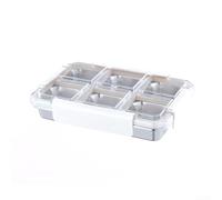 Boîte à goûter en acier inoxydable avec six compartiments pour déjeuner de bureau et pique-niques - Anti-fuite - Réutilisable - Blanc argenté (simple)