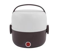 Boîte à Lunch électrique 250 W, Boîte à Lunch Chauffante à 2 Couches, Chaudière à œufs, Chauffe-aliments Portable, Boîtes à Lunch, Boîte à Bento avec Porte-œufs Cuits à la(Violet)