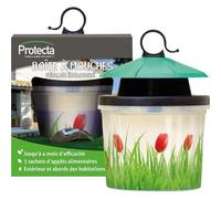 Boîte à mouches écologique avec 3 appâts