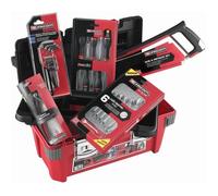 Boîte à outils + 22 outils FACOM - BP.P20ACM1PB - 5 tournevis + 6 clés mixtes + 9 clés mâles + 1 pince multiprise + 1 scie à métaux