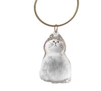 Boîte à souvenirs portable - Bac de rangement pour poils d'animaux de compagnie pour voiture | Acrylique avec fermeture sécurisée, petit organisateur de souvenirs, cadeau de condoléances émotionnelles