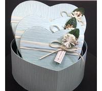 Boîte-cadeau bleue en forme de cœur pour les amis/l'être aimé/un colis de Noël